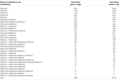 Chromatin Landscape Dynamics in the Early Development of the Plant Parasitic Nematode Meloidogyne incognita